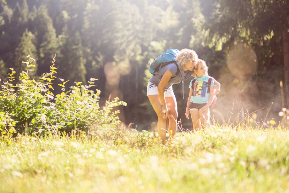 wandern-familie-heutal-wildalm-jausenstation