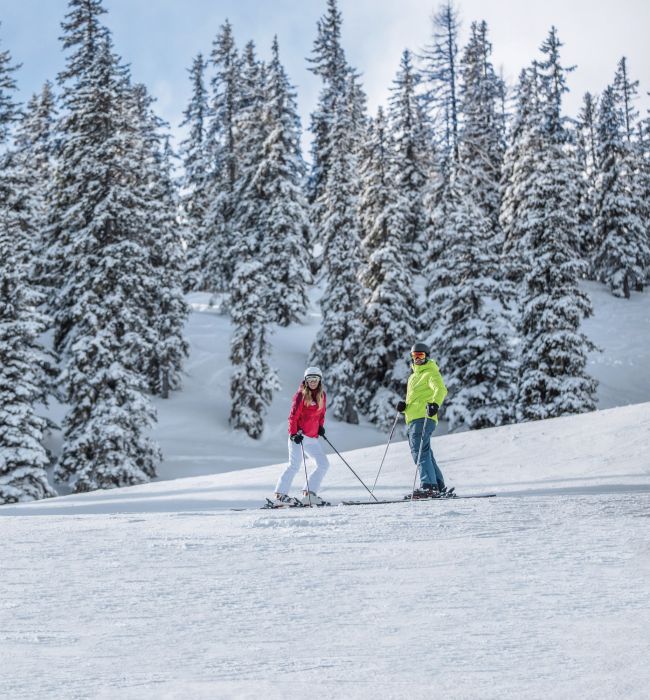 Heutal-skifahren-lift-wildalm-schnee-jausenstation